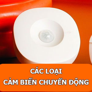 cac-loai-cam-bien-chuyen-dong-pho-bien-hien-nay-02