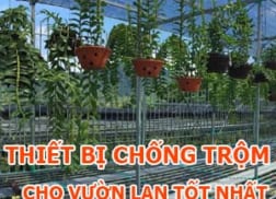 thiet bi chong trom cho vuon lan tot nhat duoc su dung nhieu nhat